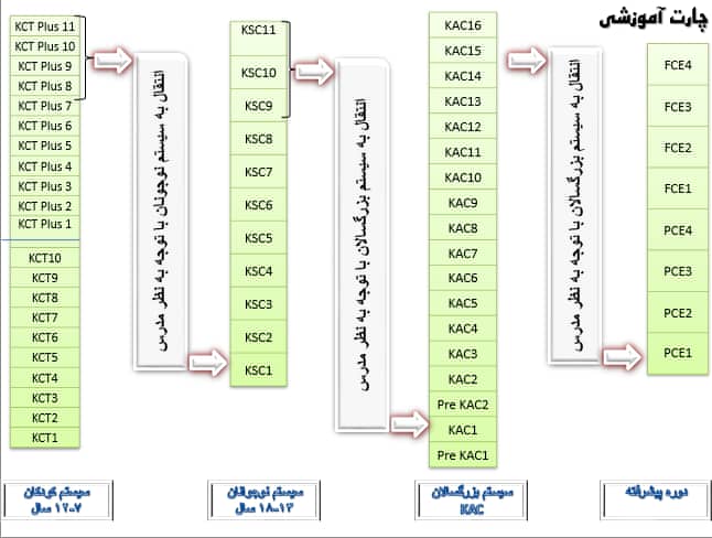 چارت آموزشی